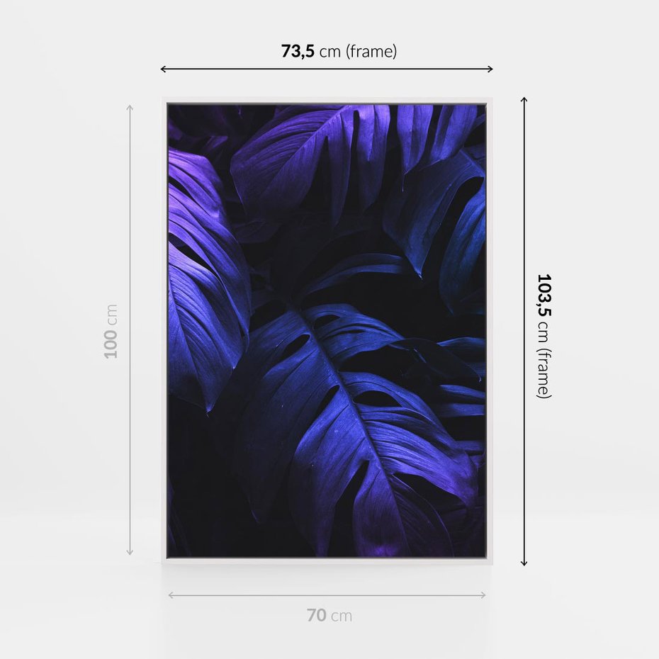 Obraz w ramie 70x100 - Mroczna Magia Dżungli - mroczna grafika, fioletowe liście monstery na czarnym tle - rama biała