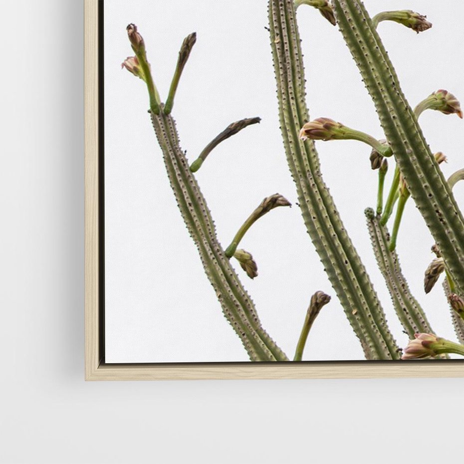 Obraz w ramie 70x50 - Ekskluzywna Roślinność - kaktusy, liście - rama drewno