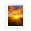 Plakat w ramie 50x70 - Magia zachodu słońca na łące z makami - łąka, zachód słońca - rama biała