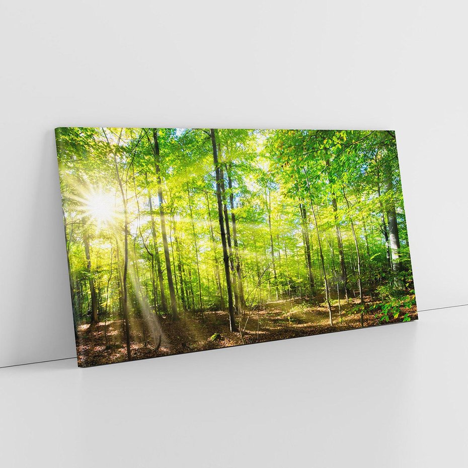 Obraz na płótnie 120x60 - Drzewa w harmonii - las, drzewa