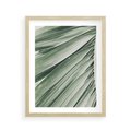 Plakat w ramie 40x50 - Tropikalna Oaza - zielony liść palmy, zieleń - rama drewno
