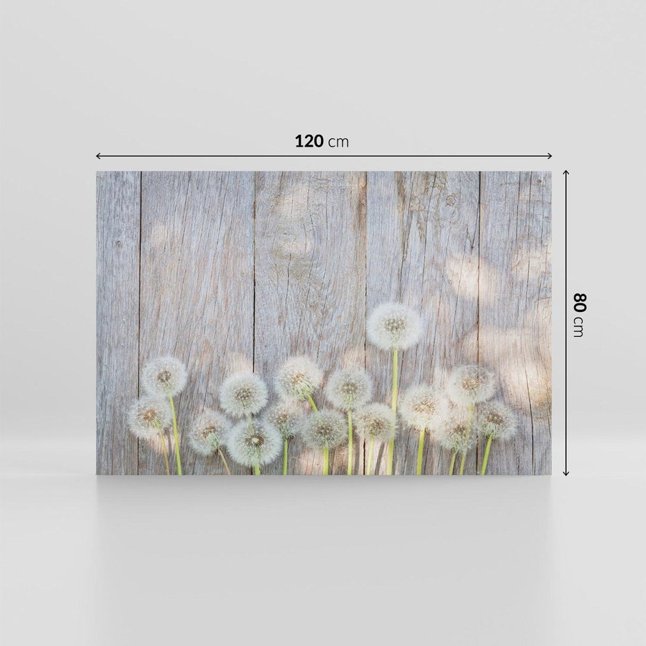 Obraz na płótnie 120x80 - Symbol swobody - dmuchawce