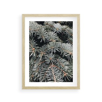 Plakat w ramie 50x70 - Zima na Gałęziach - sosnowe gałęzie, igły - rama drewno