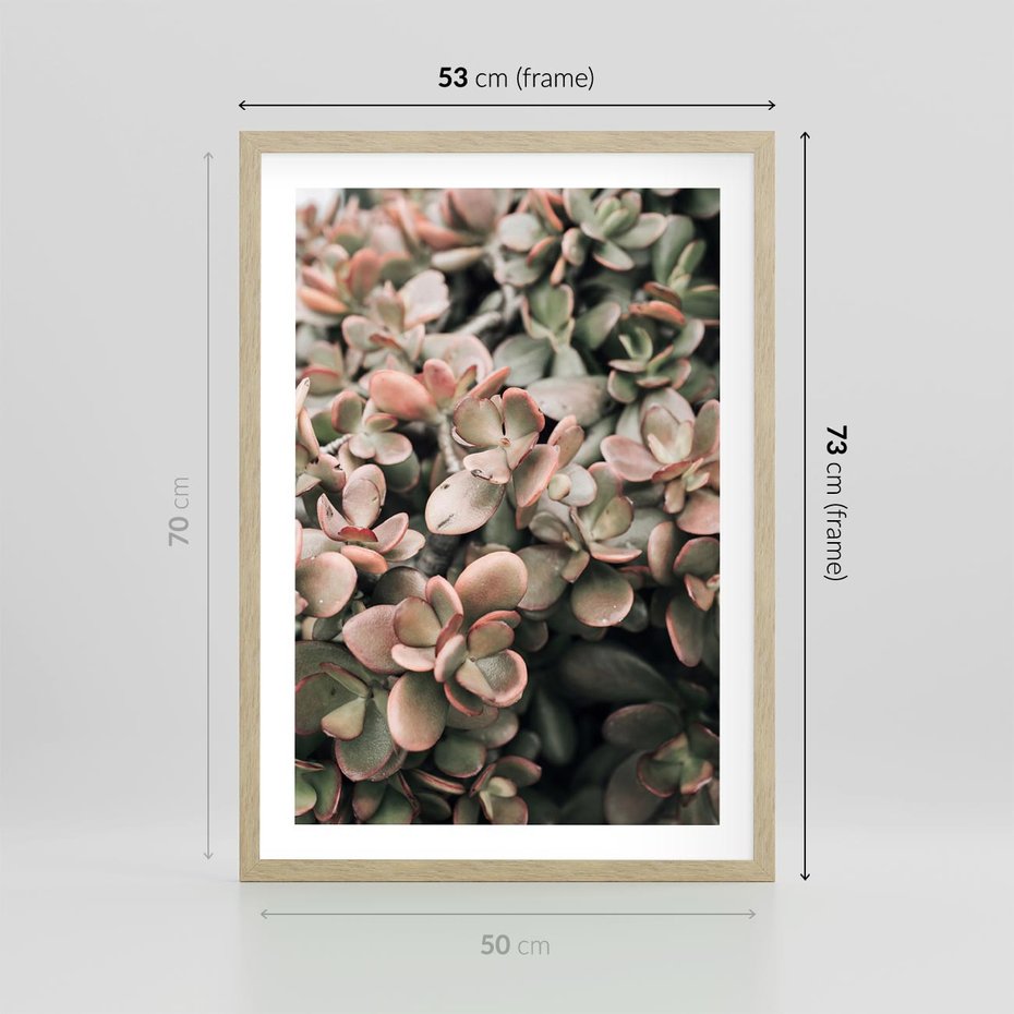 Plakat w ramie 50x70 - Sukulentowa Prostota - sukulenty, zielone liście - rama drewno