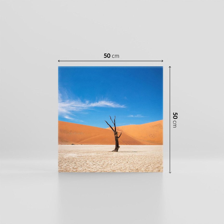 Obraz na płótnie 50x50 - Słońce i Suche Drzewo - pustynia, suche