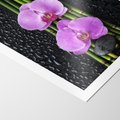 Plakat bez ramy 30x40 - Japońskie Spa w Otoczeniu Storczyków - storczyk, spa