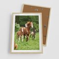 Plakat w ramie 50x70 - Galopujące konie - konie, galop - rama drewno