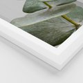 Plakat w ramie 30x40 - Eukaliptusowa zieleń - eukaliptus, zielone - rama biała