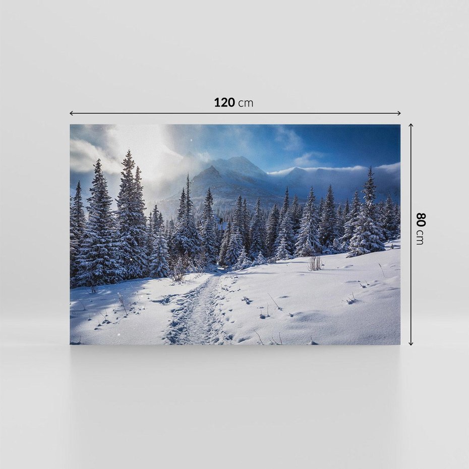 Obraz na płótnie 120x80 - Zimowe góry w lesie - góry, zima