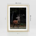 Plakat w ramie 40x50 - Spotkanie z naturą - jeleń, las - rama drewno