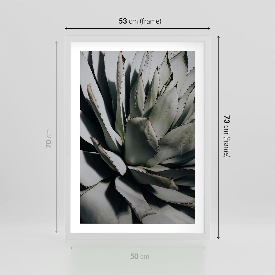 Plakat w ramie 50x70 - Sukulenty wśród kaktusów - sukulenty, kaktusy - rama biała