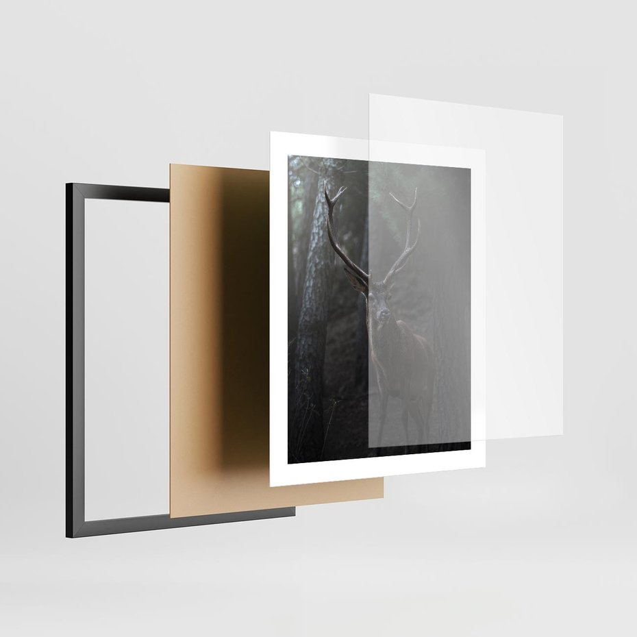 Plakat w ramie 40x50 - Jeleń wśród lasu - jeleń, las - rama czarna