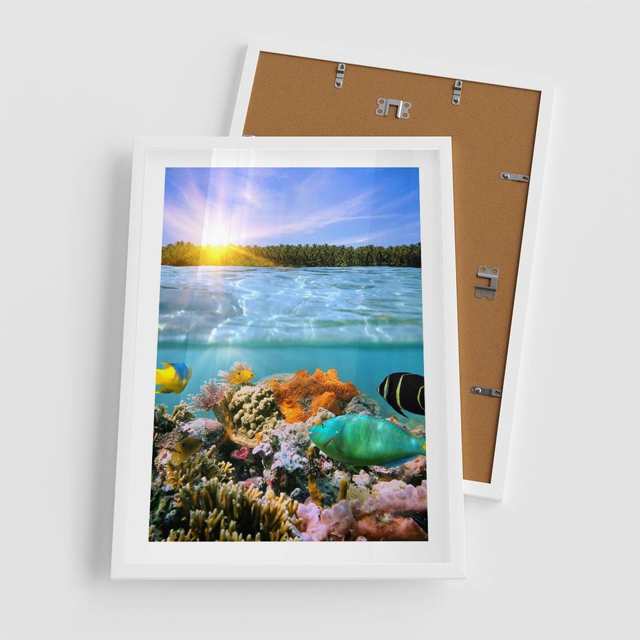 Plakat w ramie 50x70 - Rafa Koralowa - Podwodne Cuda - rafa, koralowa - rama biała