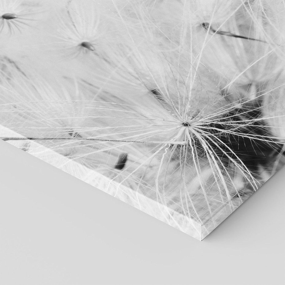 Obraz na płótnie 90x30 - Zdmuchnięty Puch - dmuchawce, delikatne