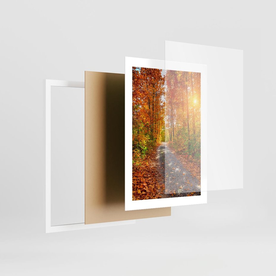 Plakat w ramie 30x40 - Kolorowe drzewa na ścieżce jesieni - las, jesień - rama biała