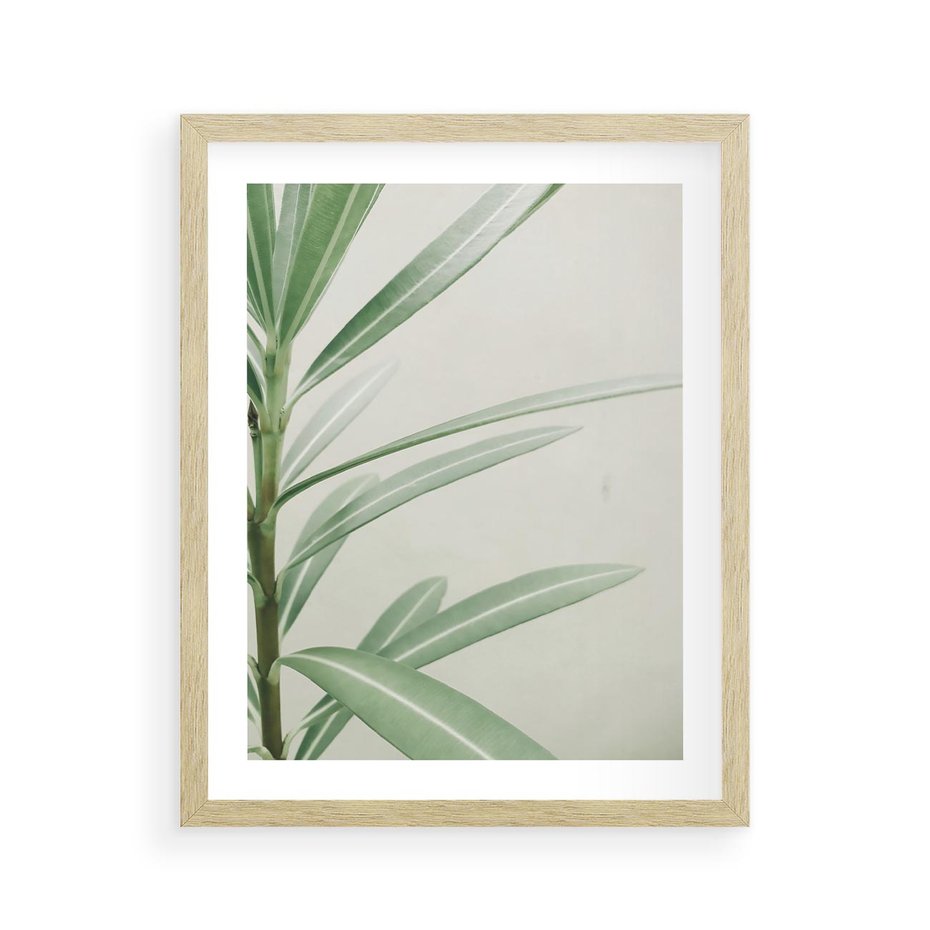 Plakat w ramie 40x50 - Minimalistyczna Tropikalna Harmonia - tropikalna roślina, zielone liście - rama drewno