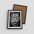 Plakat w ramie 30x40 - Tygrys Czarno-Biały: Siła i Delikatność - tygrys, czarno - rama czarna