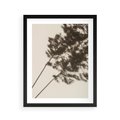 Plakat w ramie 40x50 - Tajemniczy Cień Traw - cień traw, na ścianie - rama czarna