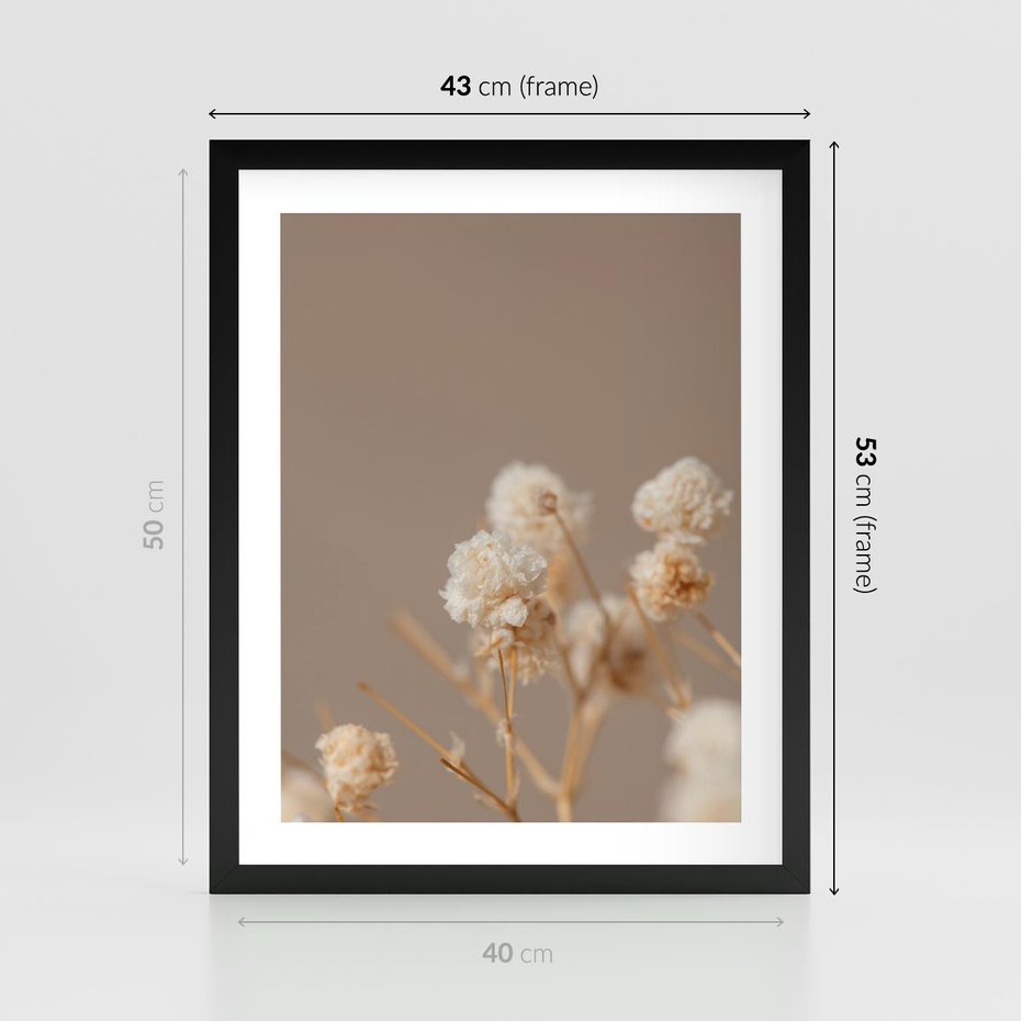 Plakat w ramie 40x50 - Przezroczyste piękno - gipsówka, suche - rama czarna