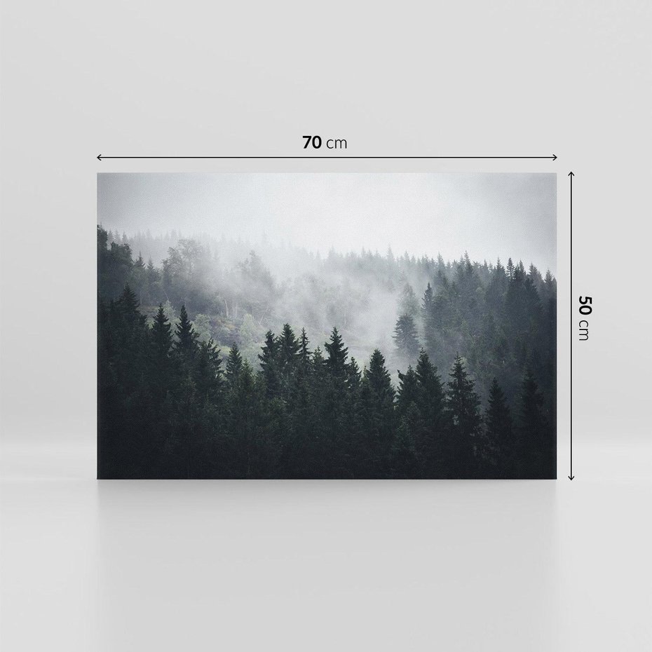Obraz na płótnie 70x50 - Las w górach: mistyczna mgła - las, góry