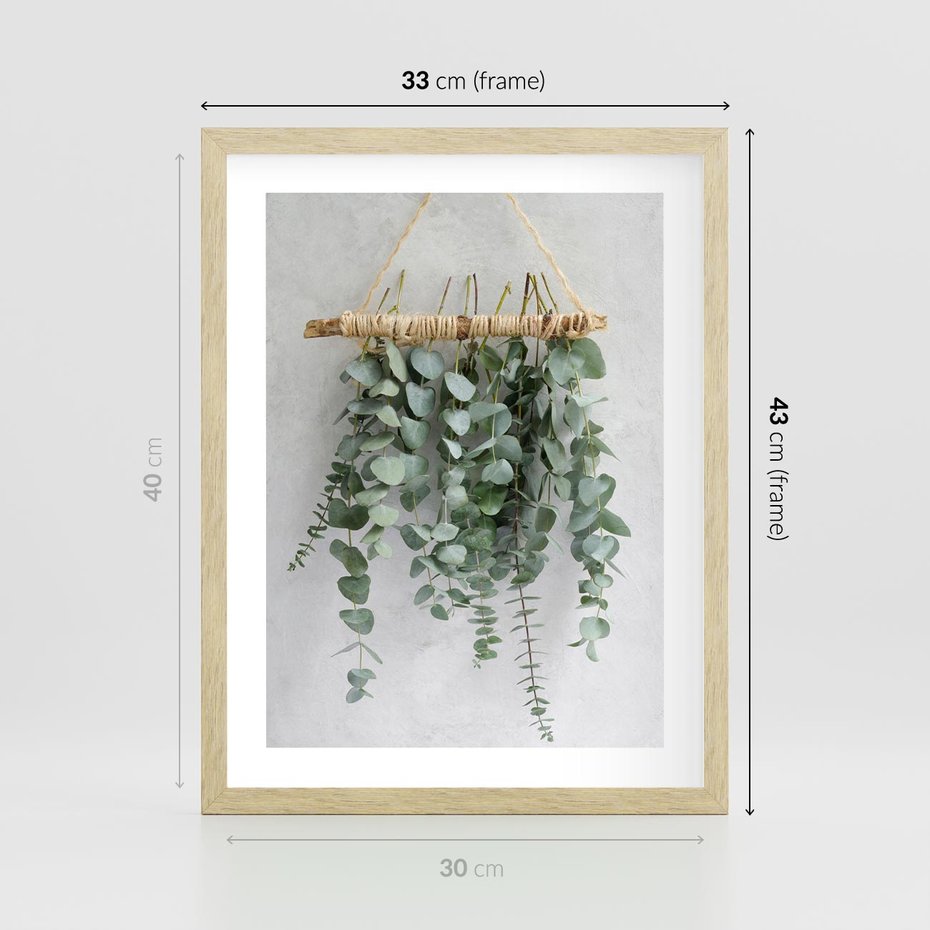 Plakat w ramie 30x40 - Uwodzicielska zieleń eukaliptusa - eukaliptus, zielone - rama drewno