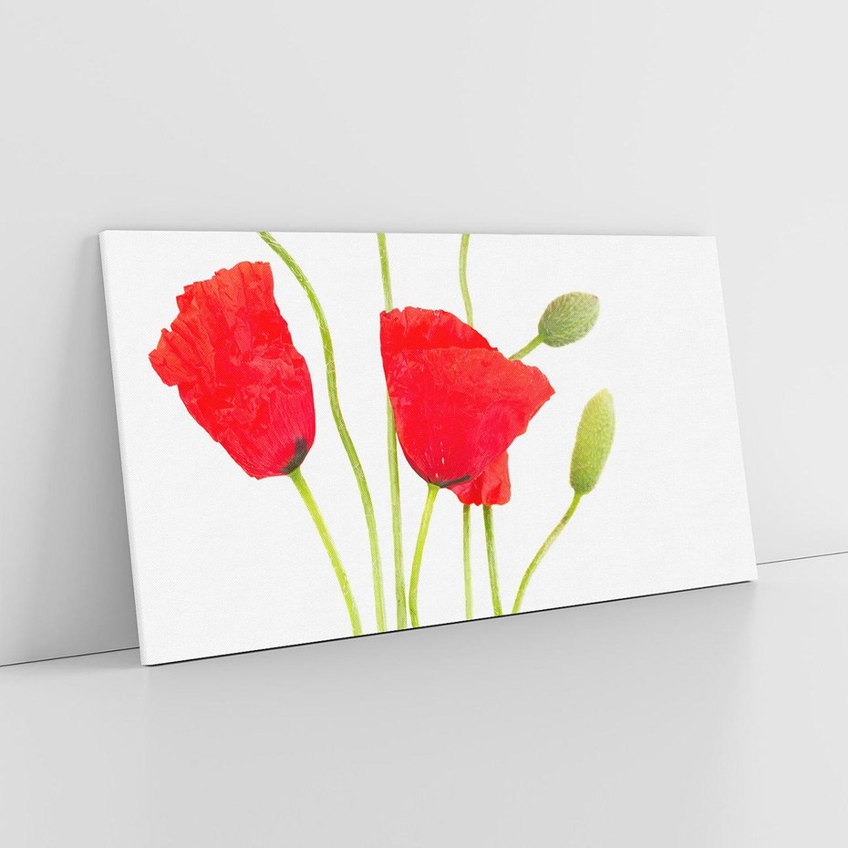 Obraz na płótnie 120x60 - Pola maków w pełnym kolorze - maki, kwiaty