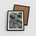 Plakat w ramie 40x50 - Zima na Gałęziach - sosnowe gałęzie, igły - rama czarna