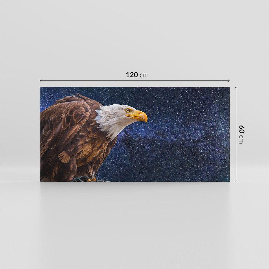 Obraz na płótnie 120x60 - Orzeł w niebieskiej przestrzeni - orzeł, ptak