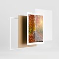 Plakat w ramie 30x40 - Kolorowe drzewa na ścieżce jesieni - las, jesień - rama biała