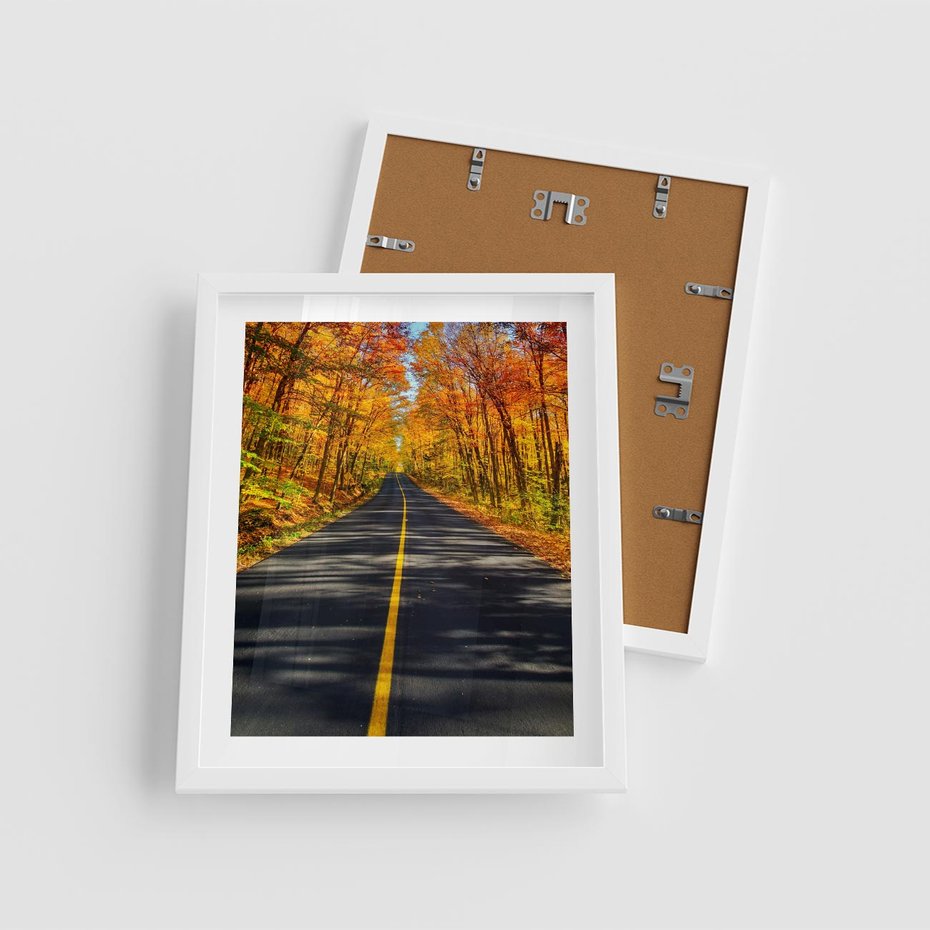 Plakat w ramie 40x50 - Droga przez jesienny las - droga, las - rama biała