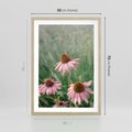 Plakat w ramie 50x70 - Natura w Pełnym Blasku - kwiaty na łące, różowe kwiaty polne - rama drewno