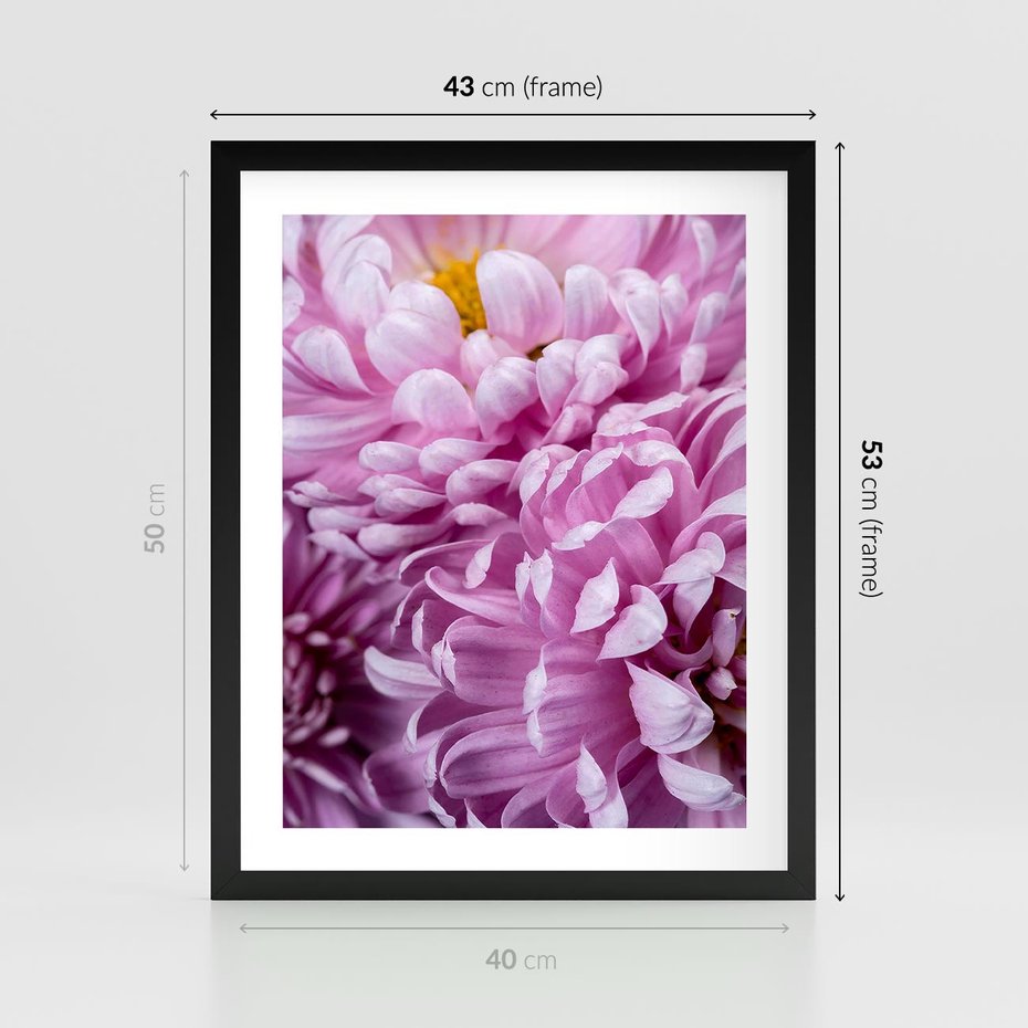 Plakat w ramie 40x50 - Fioletowy zawrót głowy - kwiat, różowy kwiat - rama czarna