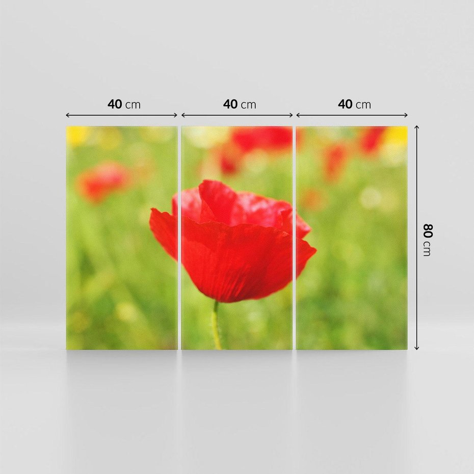 Obraz na płótnie 120x80 - Magia maku na łące - mak, łąka