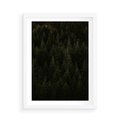 Plakat w ramie 50x70 - Ciemny las iglasty - las, iglasty - rama biała