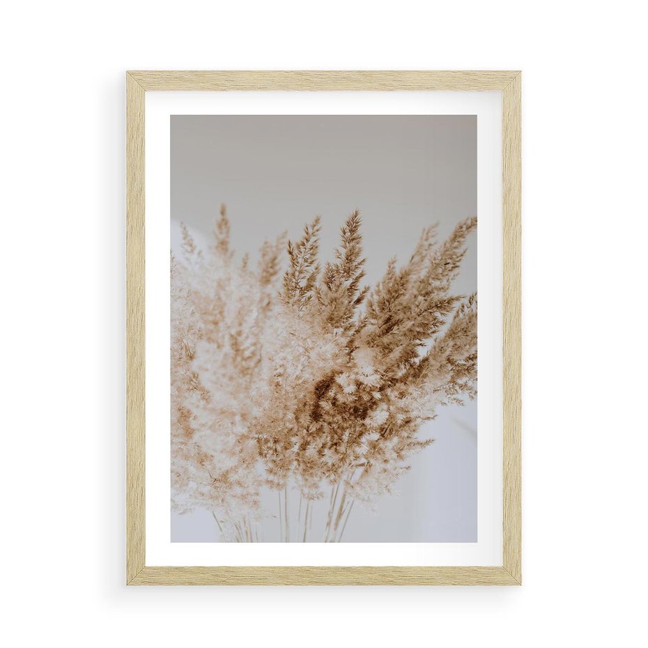 Plakat w ramie 50x70 - Boho Urok Traw Pampasowych - suche trawy, pampas - rama drewno