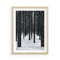 Plakat w ramie 50x70 - Zimowe Drzewa: Śnieg na Pniach - drzew w zimi, pnie drzew - rama drewno