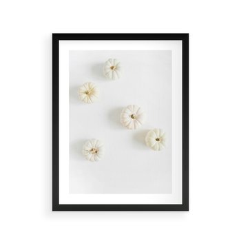 Plakat w ramie 50x70 - Biała Jesień: Dynie na Jasnym Tle - białe dynie, białe tło - rama czarna