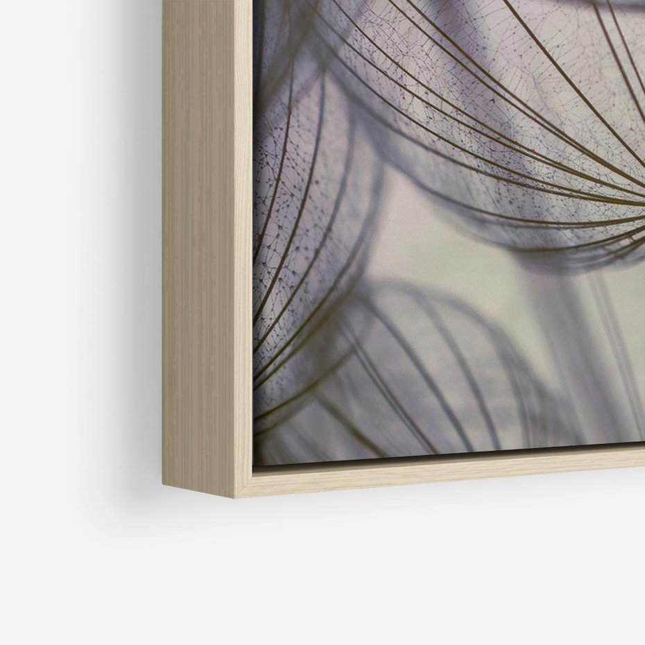 Obraz w ramie 100x70 - Makro dmuchawiec - piękno drobnych detali - dmuchawce, makro - rama drewno