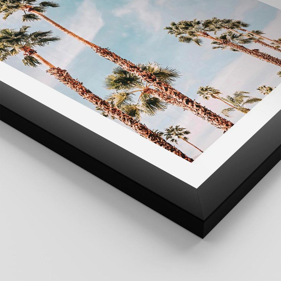 Plakat w ramie 50x70 - Tropikalna Sielskość: Palmy i Błękitne Niebo - palmy na tle błękitnego nieba - rama czarna