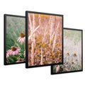Zestaw obrazy w ramie 30x40 galeria - Kwiaty, łąka, suche, trawy - rama czarna