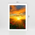 Plakat bez ramy 21x30 - Magia zachodu słońca na łące z makami - łąka, zachód słońca
