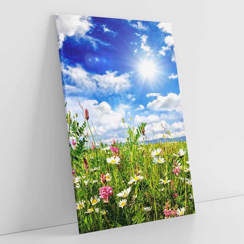 Obraz na płótnie 70x100 - Niebiańska łąka pełna kwiatów - łąka, niebo
