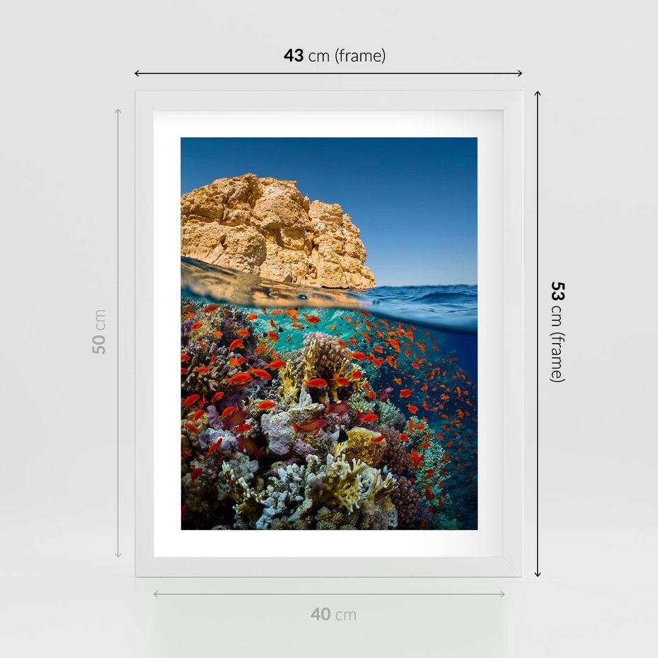 Plakat w ramie 40x50 - Rafa koralowa w oceanie - rafa, koralowa - rama biała