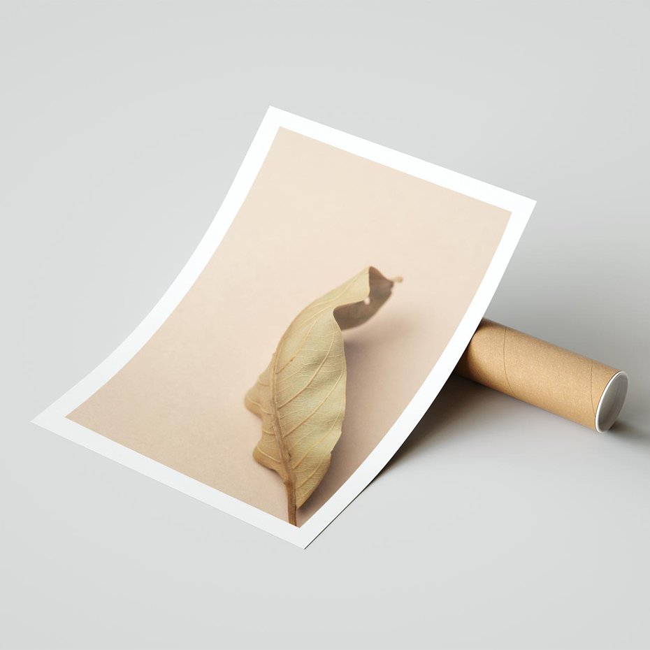 Plakat bez ramy 30x40 - Boho suszone liście - suszony, liść