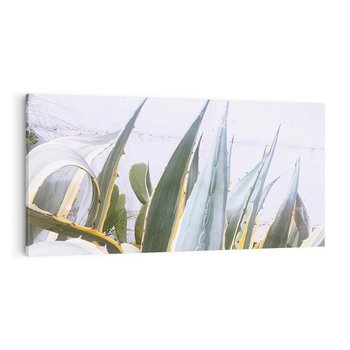 Obraz na płótnie 140x70 - Sukulentowe liście - liście, sukulenty