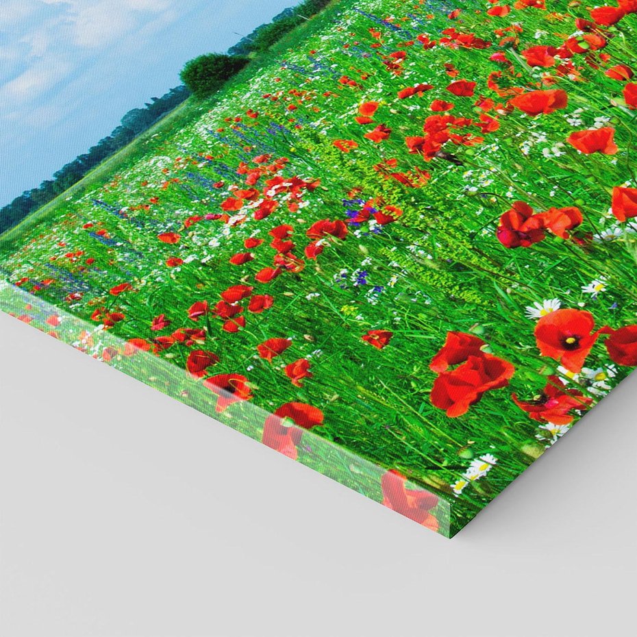 Obraz na płótnie 120x80 - Kolorowa łąka pełna maku - łąka, maki