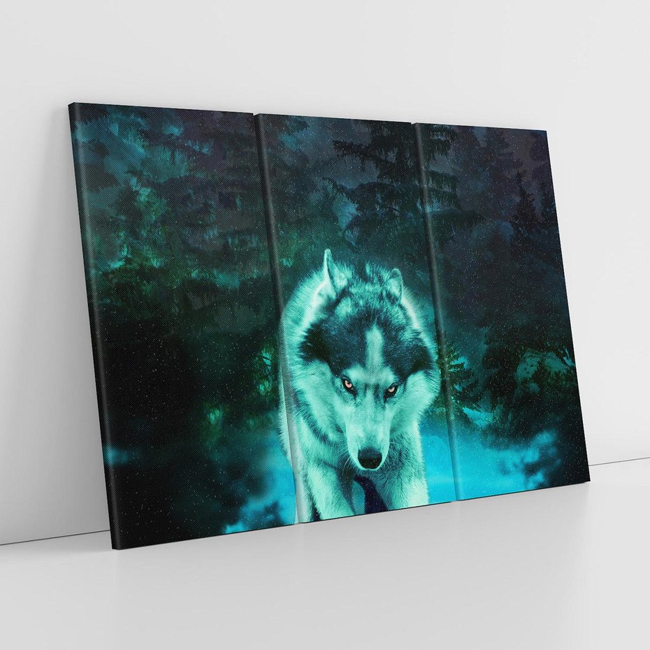 Obraz na płótnie 120x80 - Siła i wdzięk natury - wilk, husky