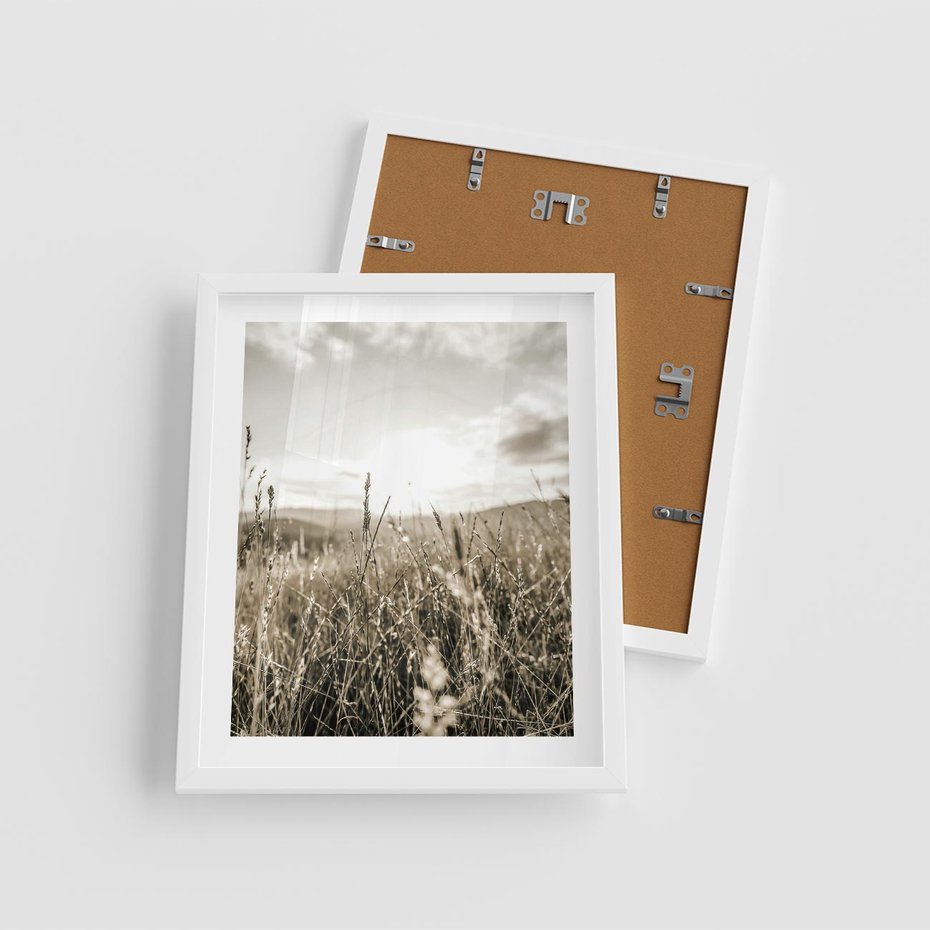 Plakat w ramie 40x50 - Łąka w Klimacie Sepii - suche trawy, łąka - rama biała