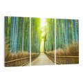 Obraz na płótnie 120x80 - Droga przez japoński bambusowy las - droga, japonia