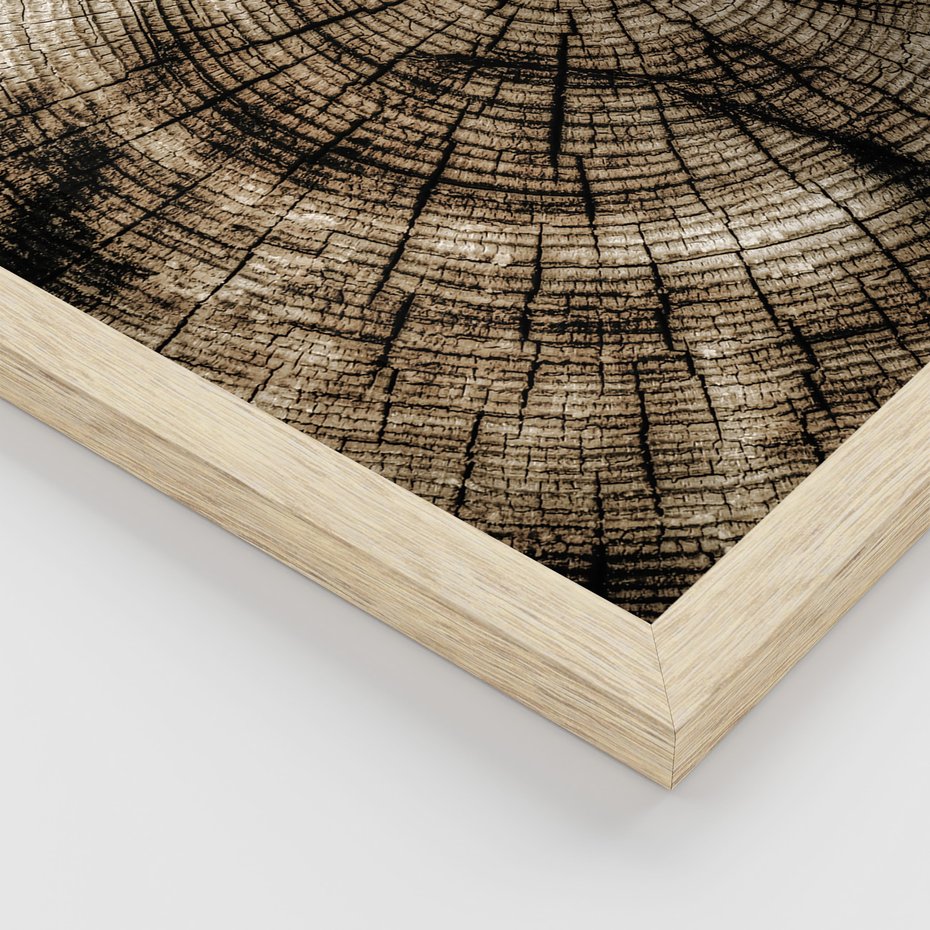 Zestaw obrazy w ramie 50x70 galeria - Drewno, pień, boho, domek - rama drewno